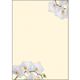 sigel Design-Papier, din A4, 90 g/qm, motiv "White Orchid"