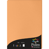 Pollen by Clairefontaine papier DIN A4, clementine