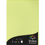 Pollen by Clairefontaine papier DIN A4, knospengrn
