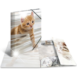 HERMA eckspannermappe "Katzen", pp Glossy, din A4