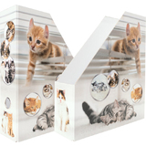 HERMA stehsammler "Katzen", din A4, Karton, (B)85 mm