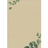 sigel design-papier "Eucalyptus", din A4, 100 g/qm