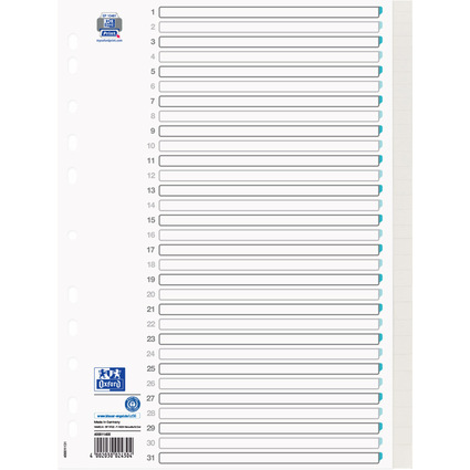 Oxford Tauenpapier-Register, blanko, DIN A4, 31-teilig