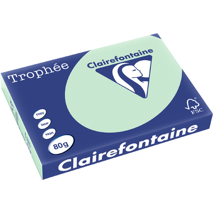 Clairefontaine Multifunktionspapier Trophe, A3, hellgrn