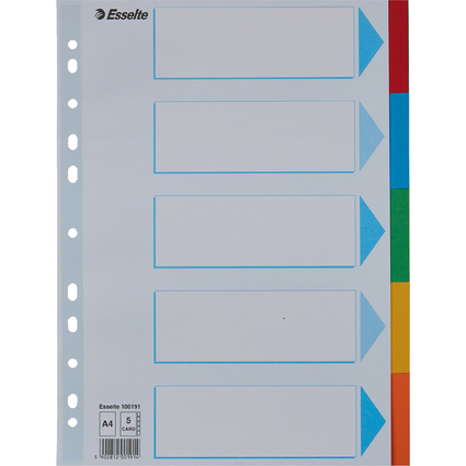 Esselte Karton-Register, blanko, A4, 5-teilig, mehrfarbig