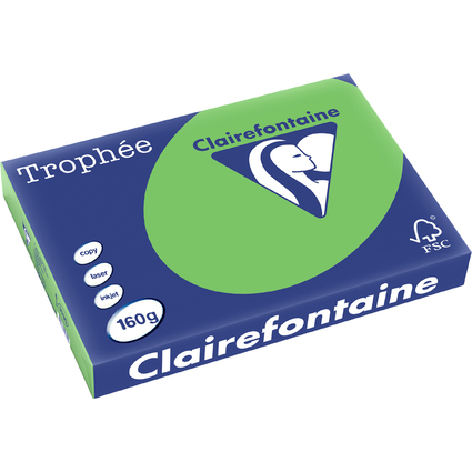 Clairefontaine Multifunktionspapier, DIN A3, maigrn