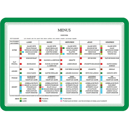 tarifold Magnet-Rahmensichttafel MAGNETO SOLO, DIN A4, grn