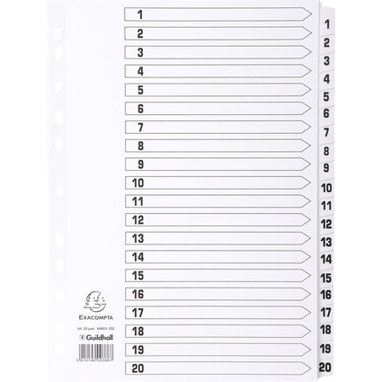 EXACOMPTA Karton-Register 1-20, DIN A4, wei, 20-teilig