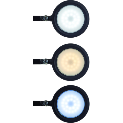 MAUL LED-Tischleuchte MAULgrace colour vario, dimmbar