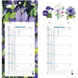 EXACOMPTA calendrier mural 2025, 330 x 160 mm, fond Fleurs